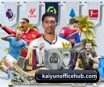 kaiyun APP